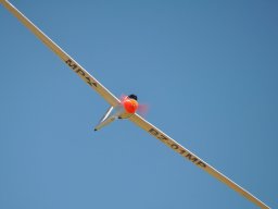 Flugtag 2022